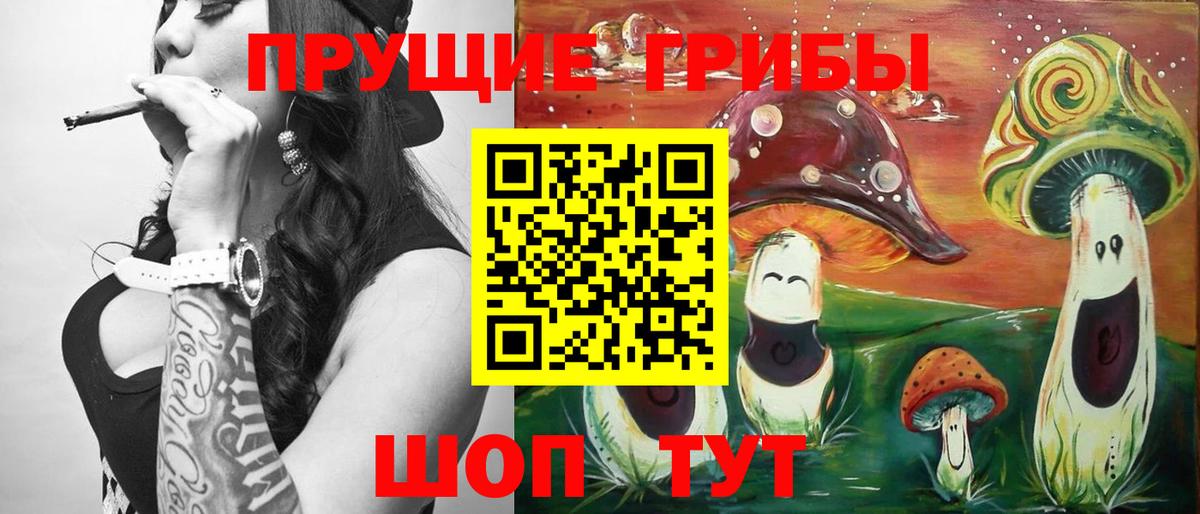 Псилоцибиновые грибы Psilocybine cubensis Великий Новгород